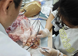 Hands-on Microvascular Anastomotic Coupler Training Featured at International Academic Congress
